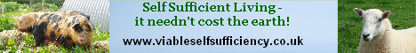 Advert from Downsizer member VSS
